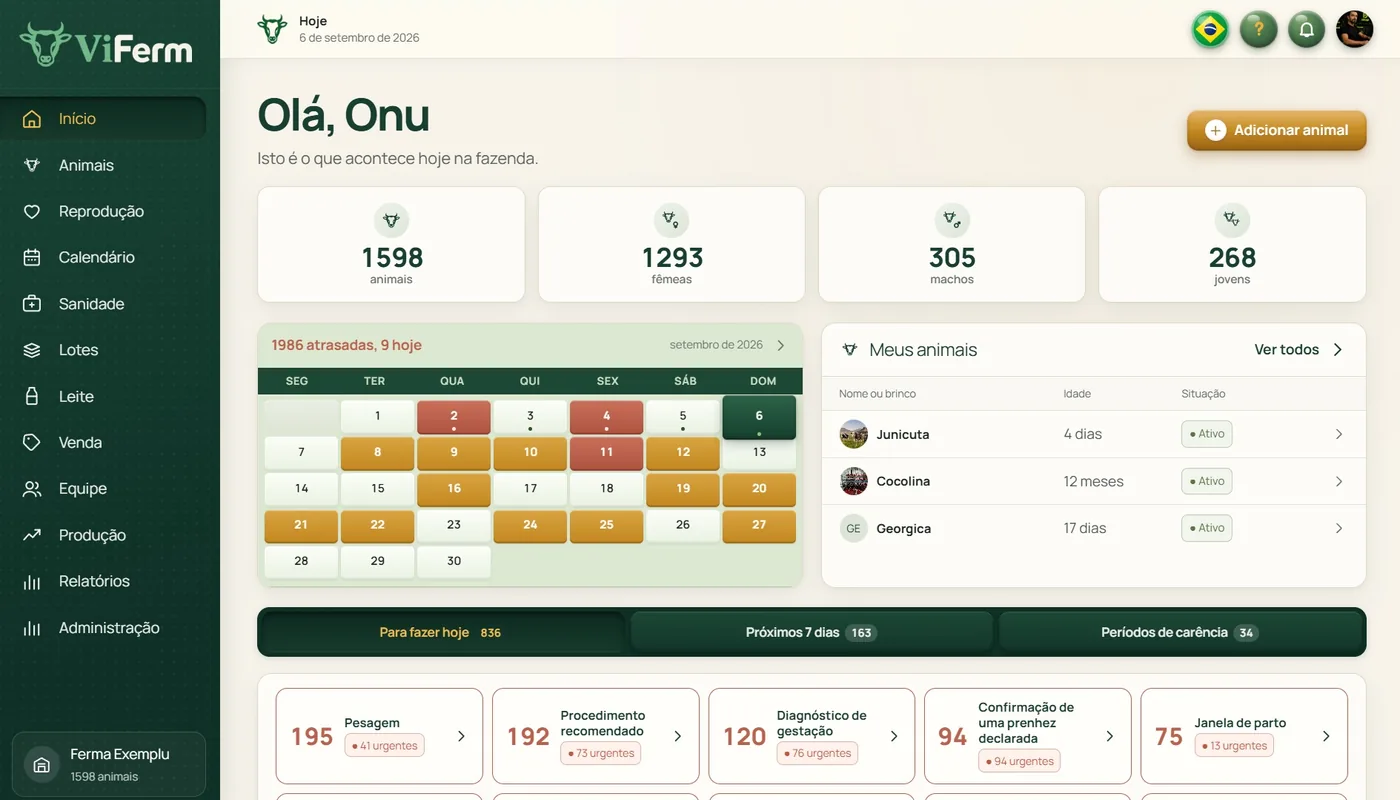 O painel principal do ViFerm no computador: 1598 animais, 1293 fêmeas, 305 machos, 268 jovens, o calendário do mês e as tarefas de hoje.