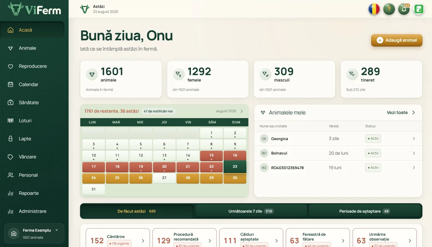 Panoul principal ViFerm pe calculator: 1601 animale, 1292 femele, 309 masculi, 289 tineret, calendarul lunii și activitățile de făcut astăzi.