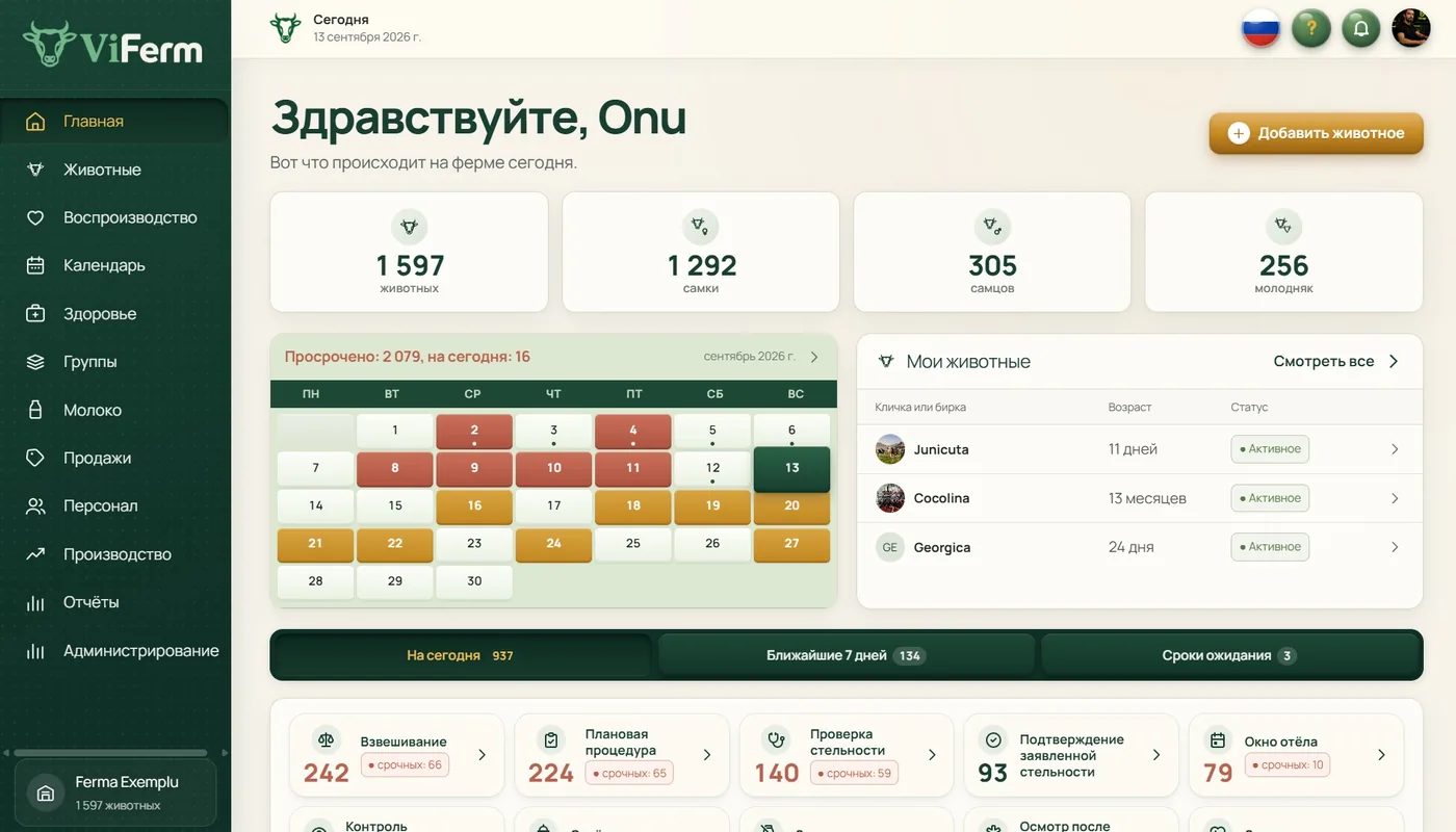 Главный экран ViFerm на компьютере: 1 597 животных, 1 292 самки, 305 самцов, 256 голов молодняка, календарь месяца и работа на сегодня.